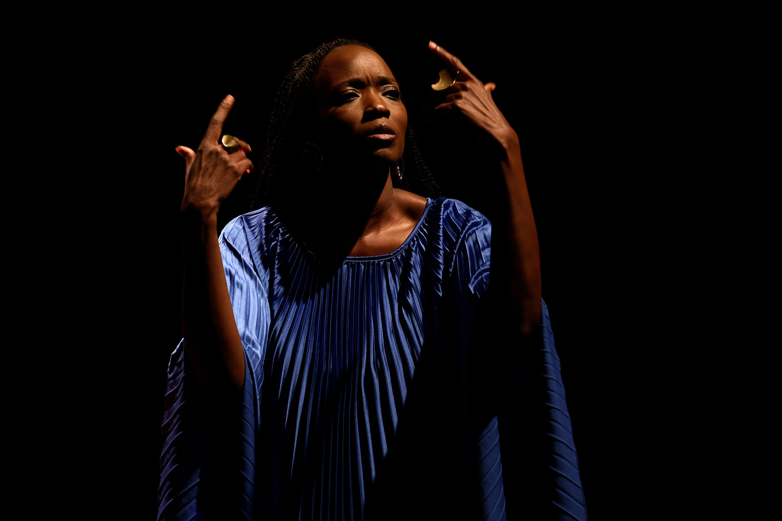 La chanteuse Awa Ly en concert à la Grange Dîmière de Fresnes en 2025