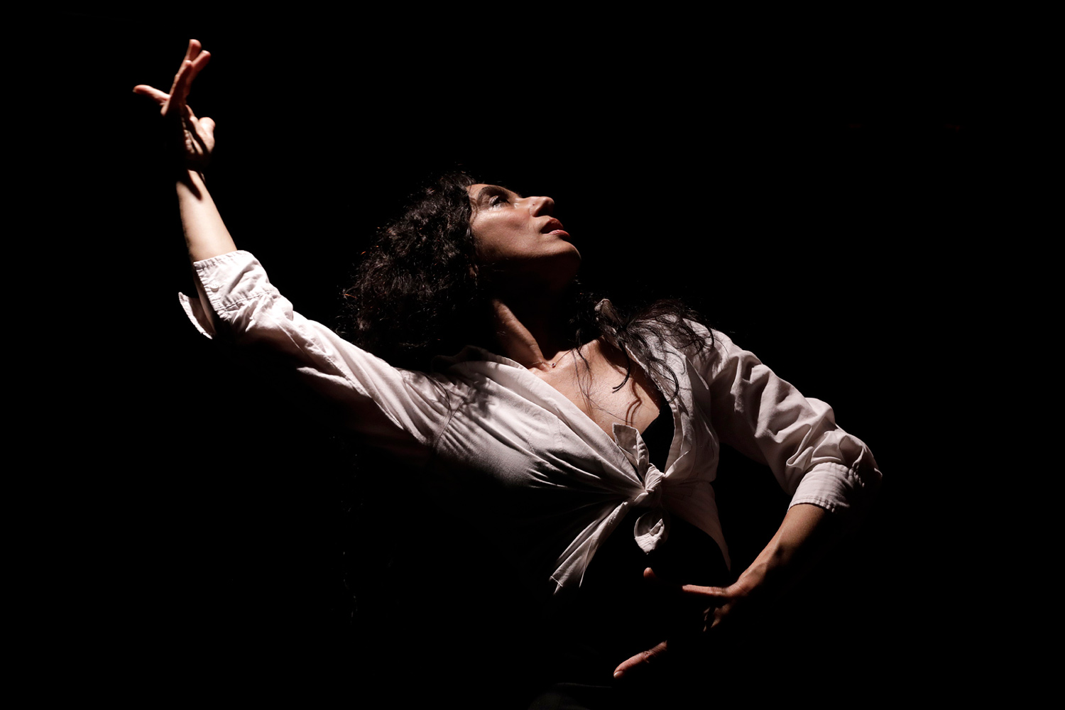 Photographie réalisée par Remi Hostekind lors du concert “Joce Mienniel & Les Instruments Migrateurs” au Comptoir Halle Roublot à Fontenay-sous-Bois le 13 juin 2024.
L’image montre la danseuse de flamenco Karine Gonzalez dans un contexte de performance scénique mêlant musique et danse.